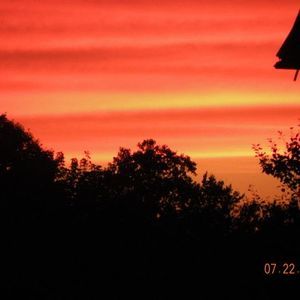 Meet your Posher, Bonnie